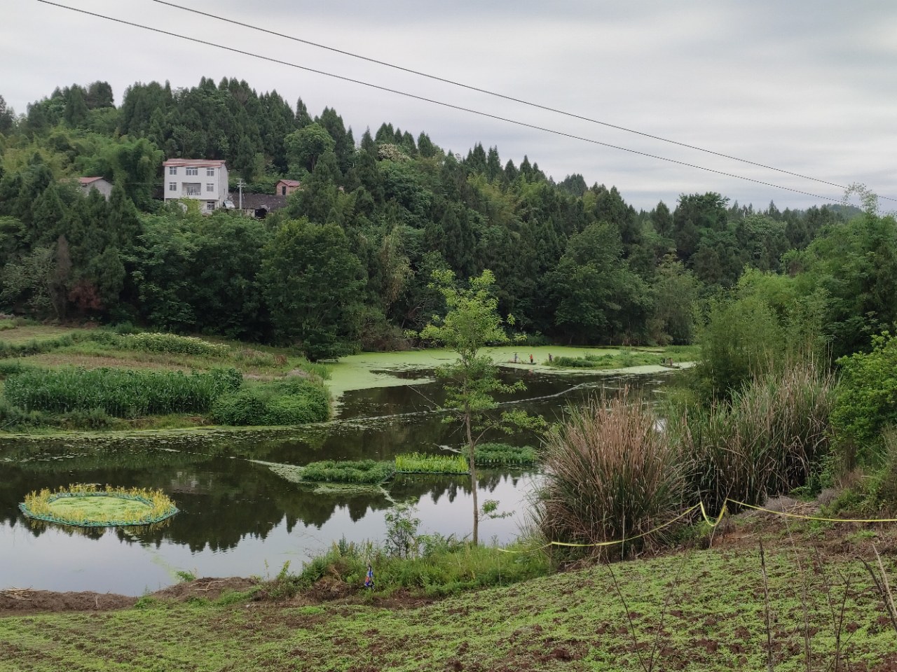 河源岳阳图片