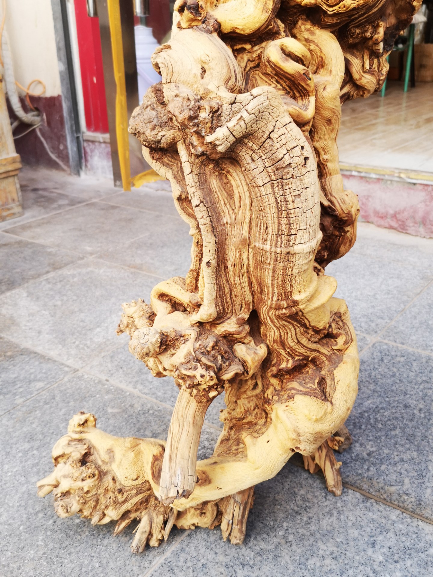 这"胡杨木"的根千姿百态太有欣赏价值了