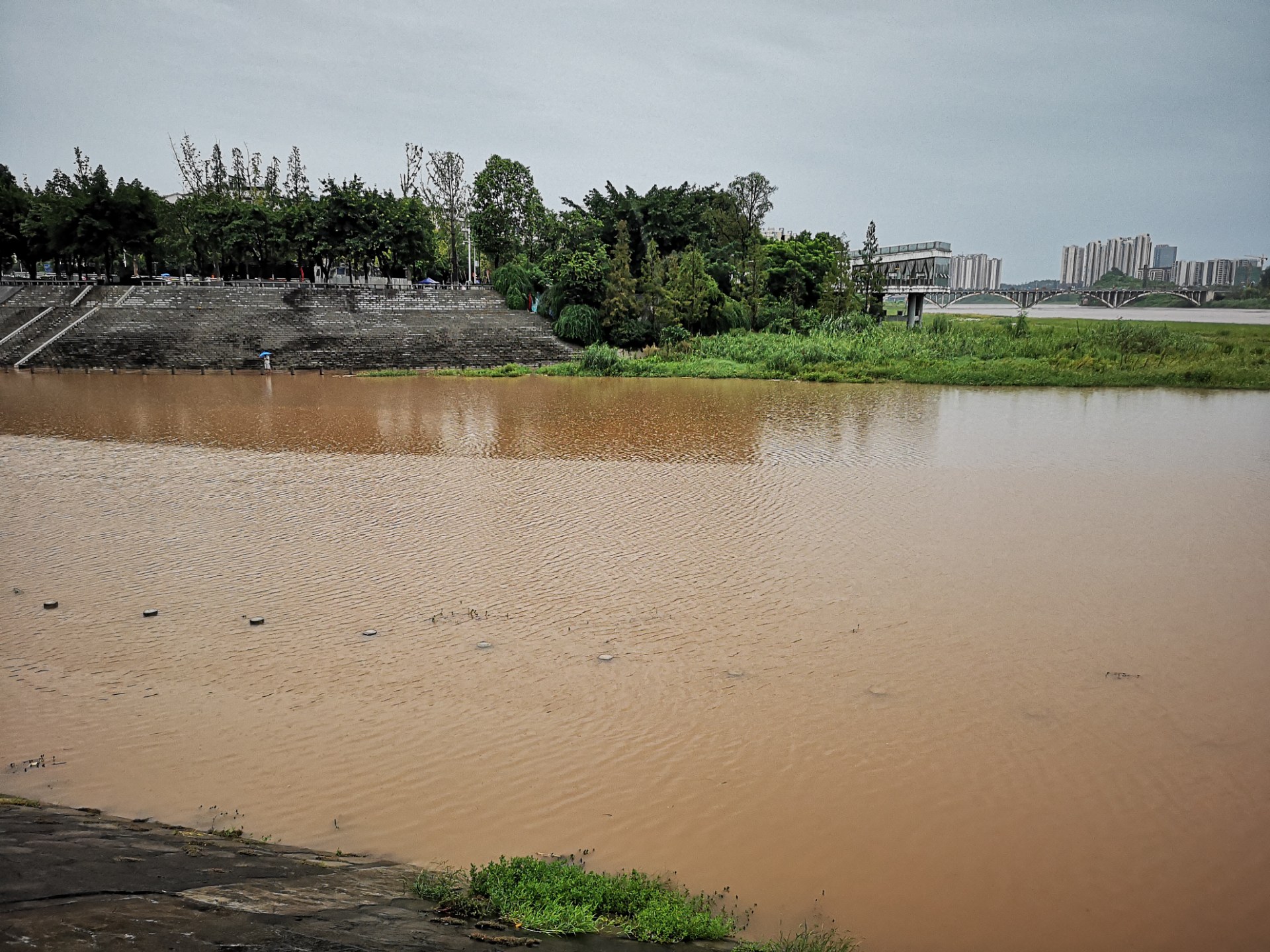 资阳沱江九曲河水在消减了,据说今天一早涨的水更大