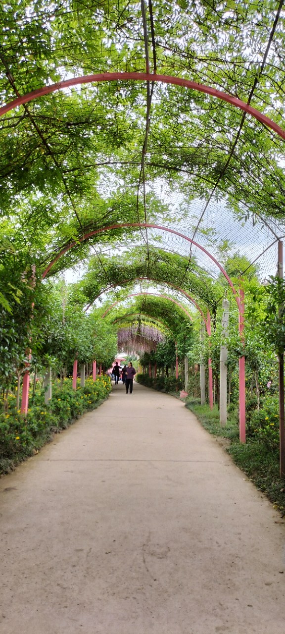 原创 网红打卡悦缘花谷