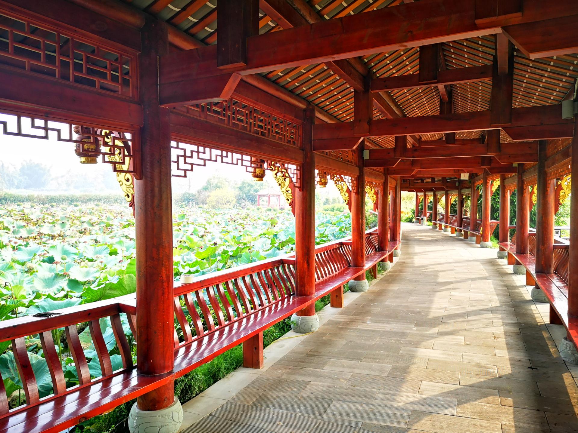 国庆游玩隆昌谢家大院,环境优美景色宜人