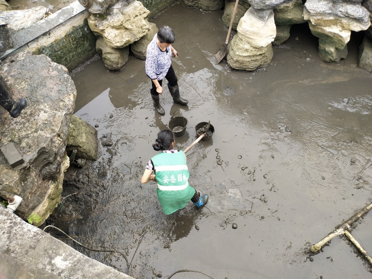 安岳县南山公园的叠水迎宾水池清污换水,这群女园艺工人真不容易