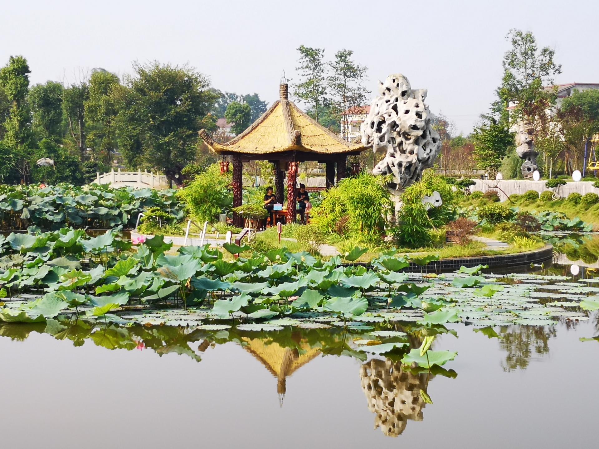 国庆游玩隆昌谢家大院,环境优美景色宜人