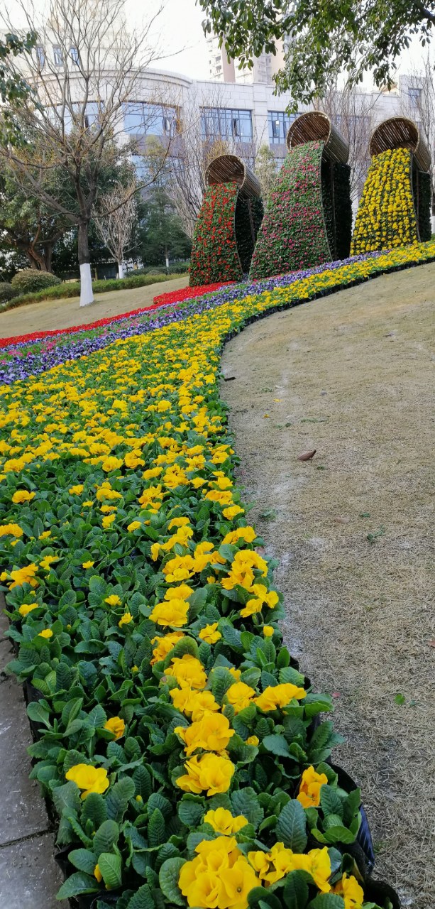 资阳23000盆鲜花摆出"倾倒花瀑,春意涌流"的花卉景点奇趣!