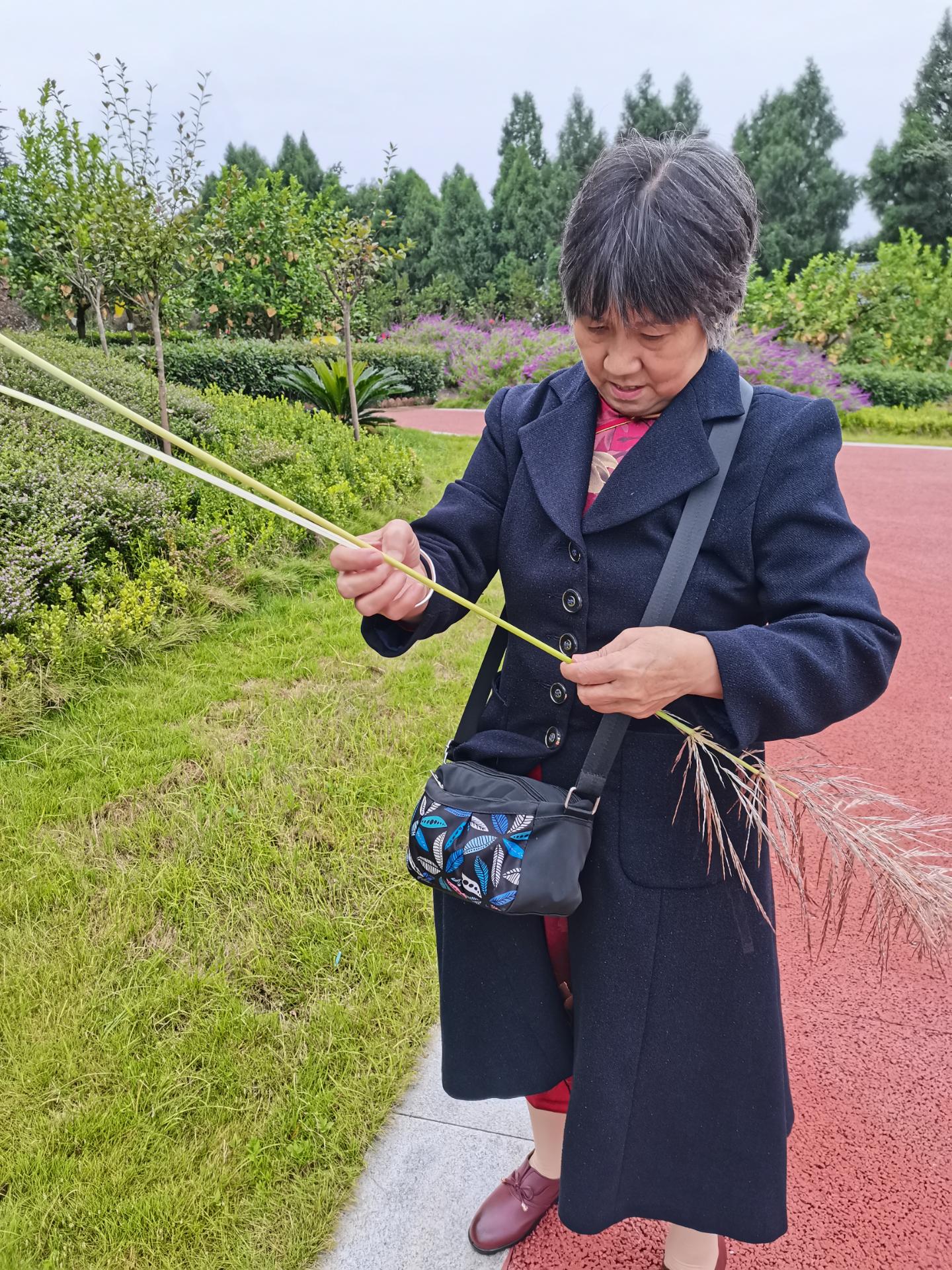 芭茅杆编枪怎么编图片