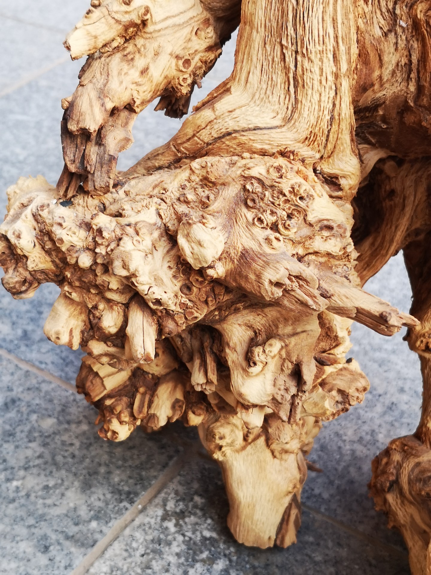 这"胡杨木"的根千姿百态太有欣赏价值了