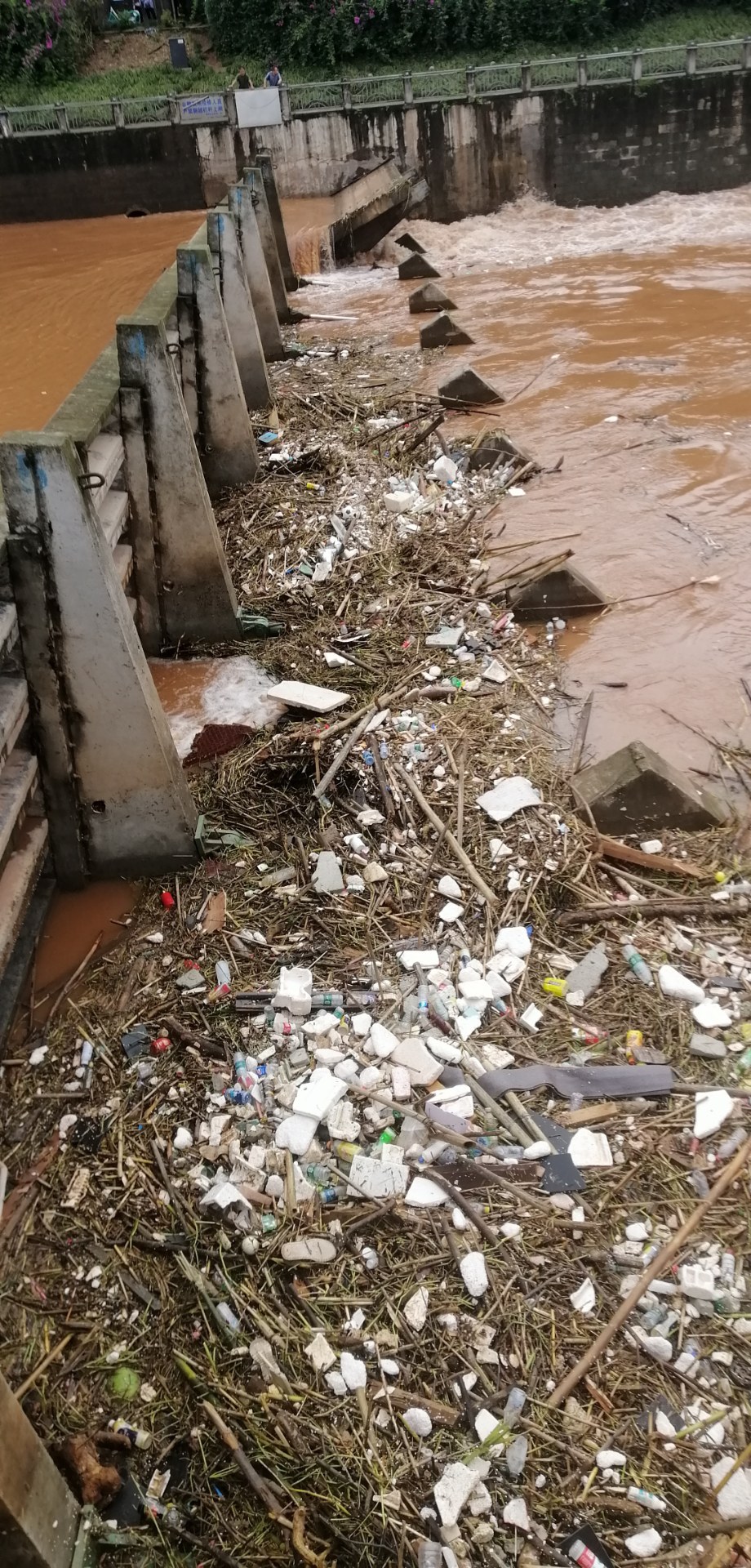 又一场洪水给九曲河带来了大量的垃圾