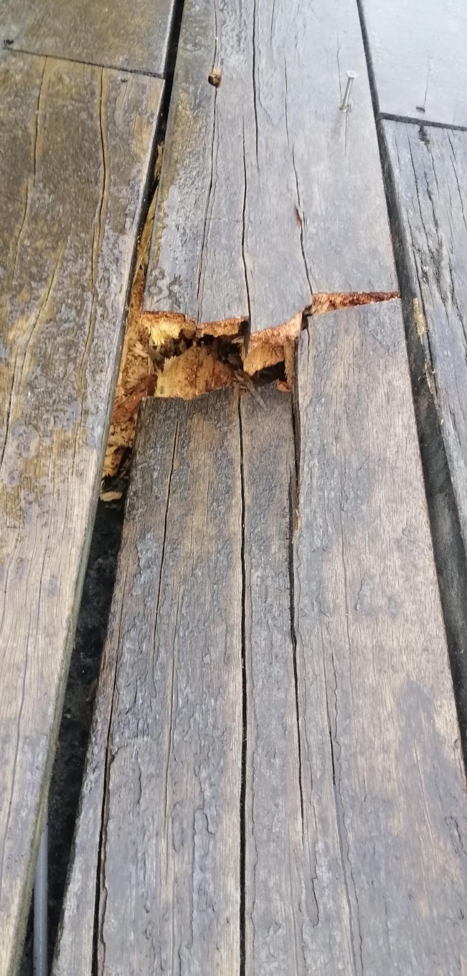 坏了!资阳雁南桥的木地板又坏了!