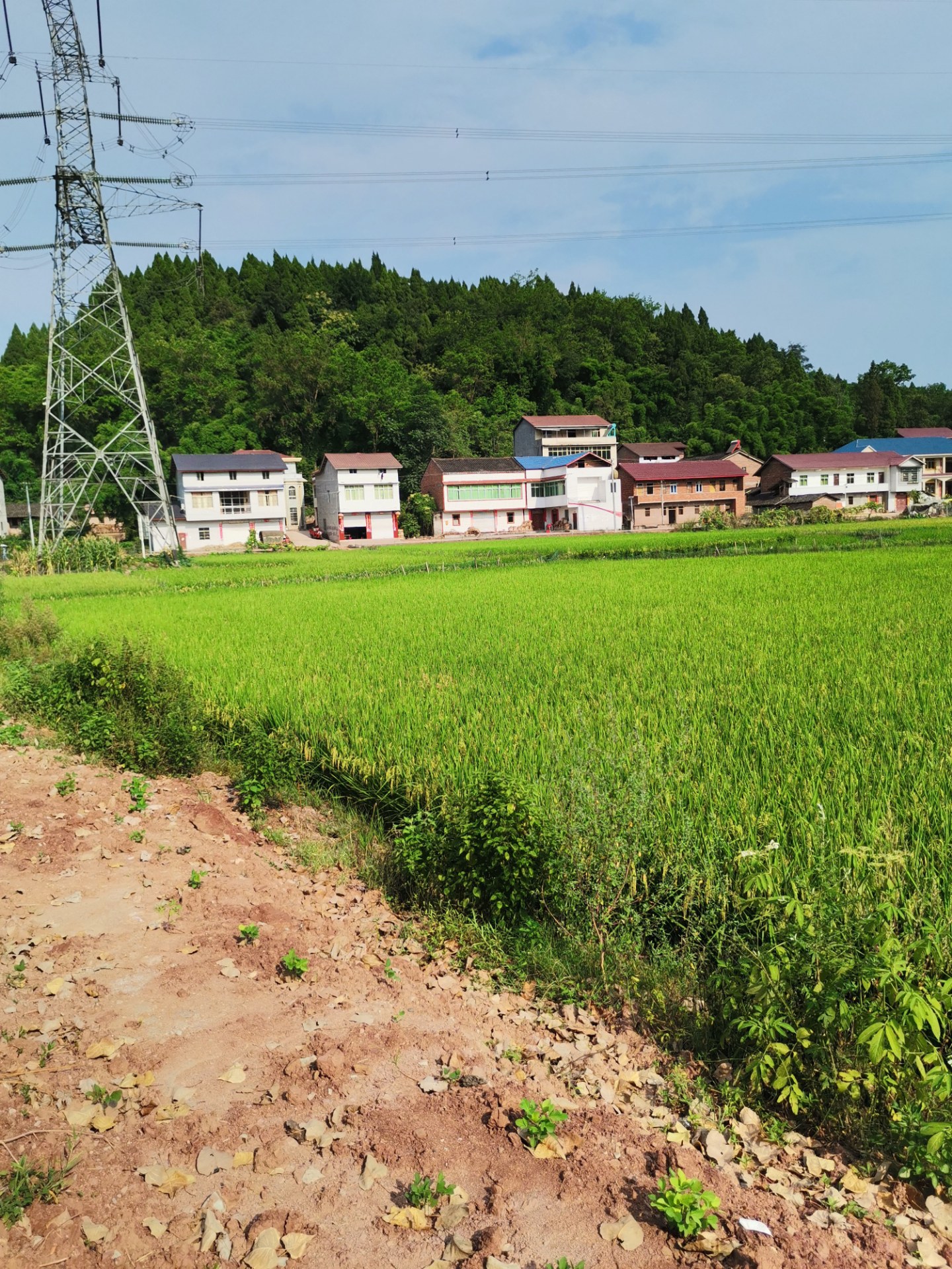 安岳天林镇精美的石拱桥一一长水桥