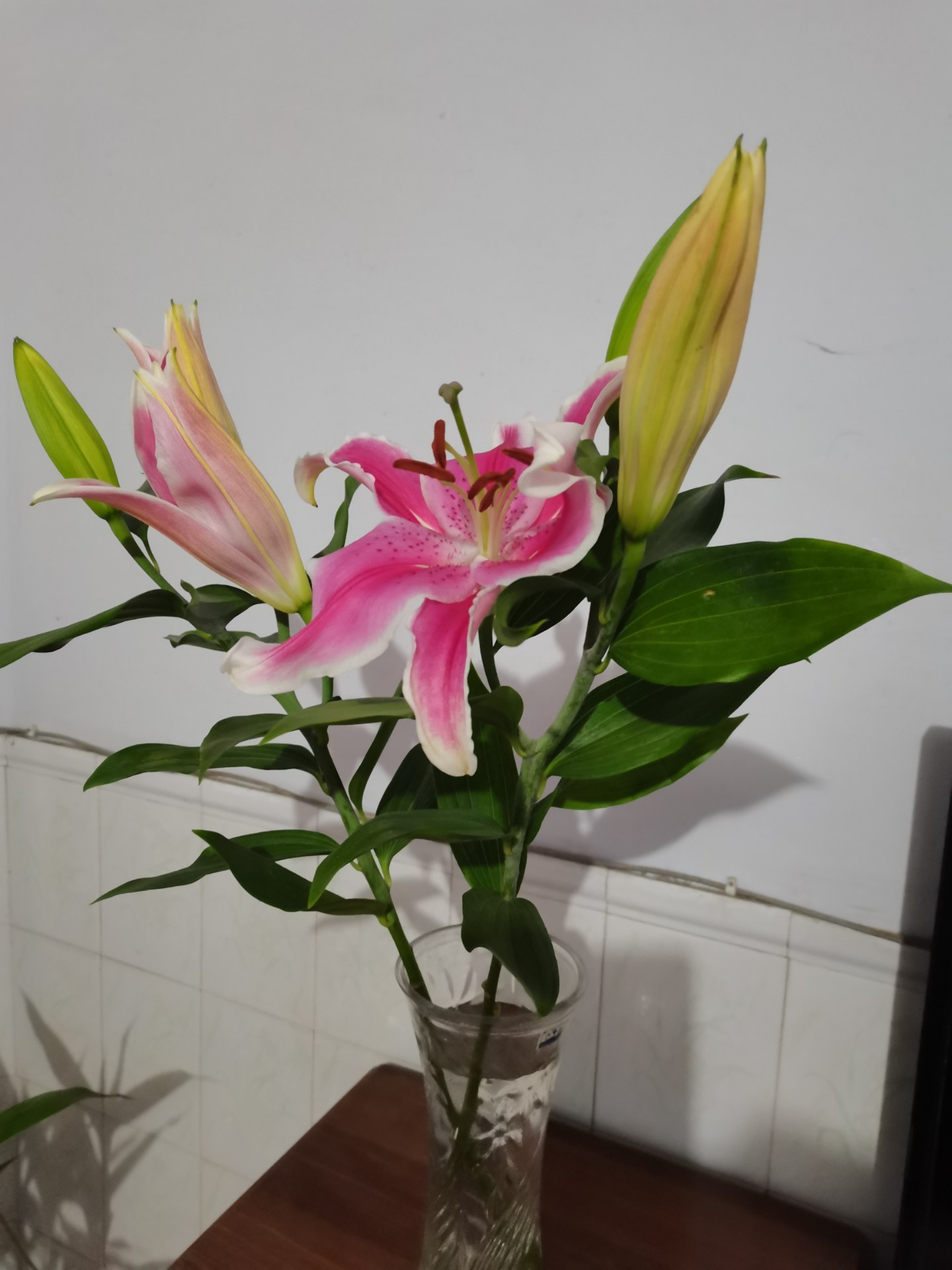 粉色的百合花真漂亮!