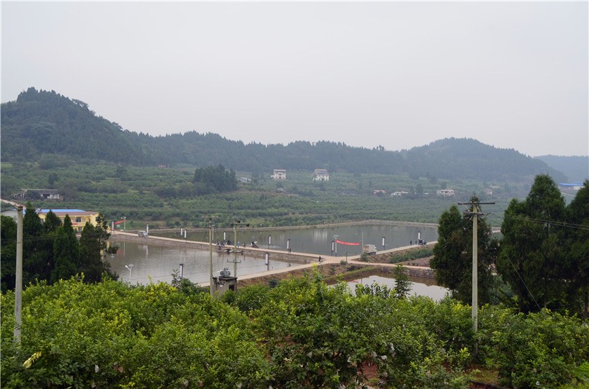 原创 快看!安岳柳溪村的幸福生活.