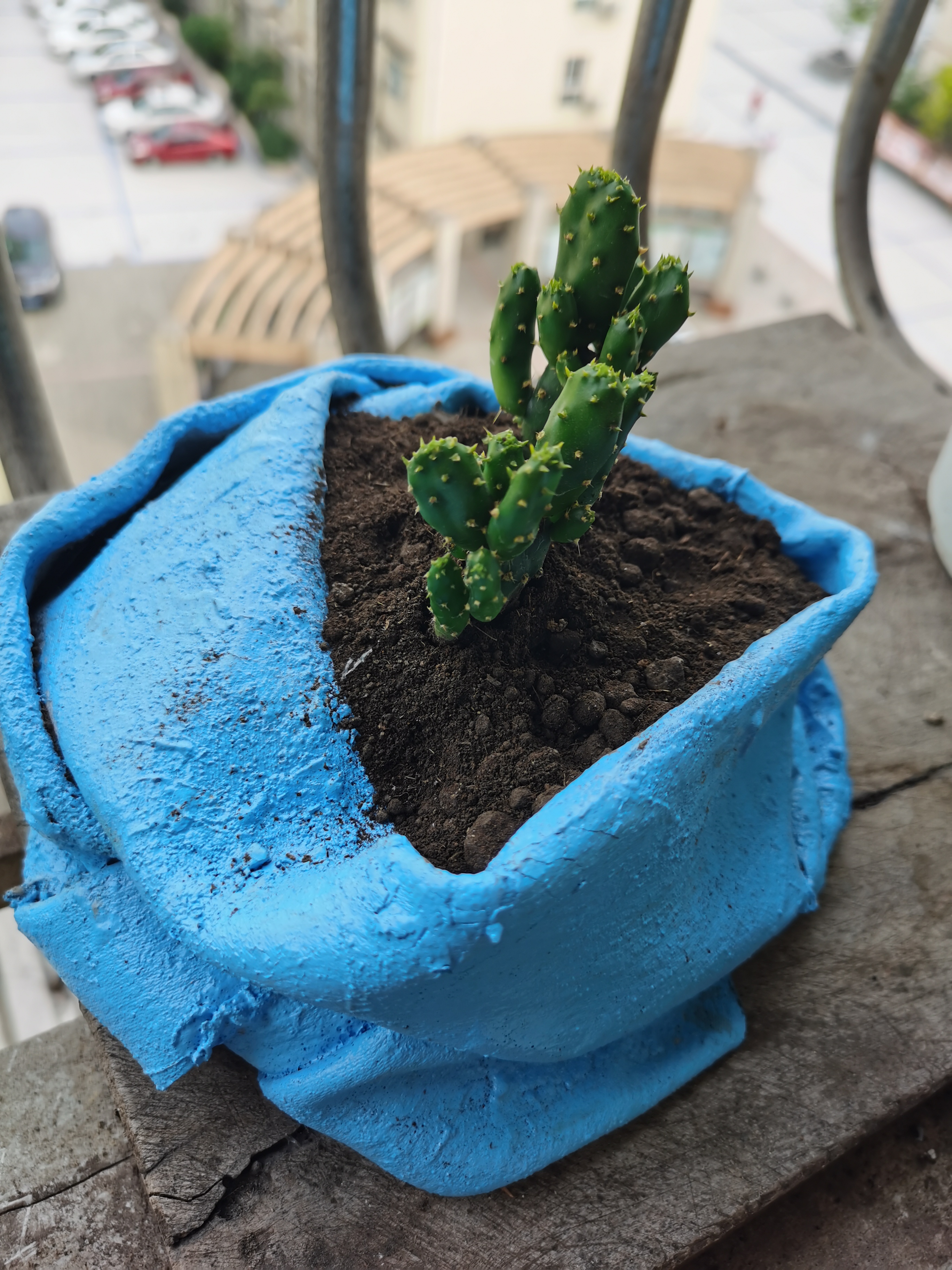 自己动手做花盆,经济实用又抗摔