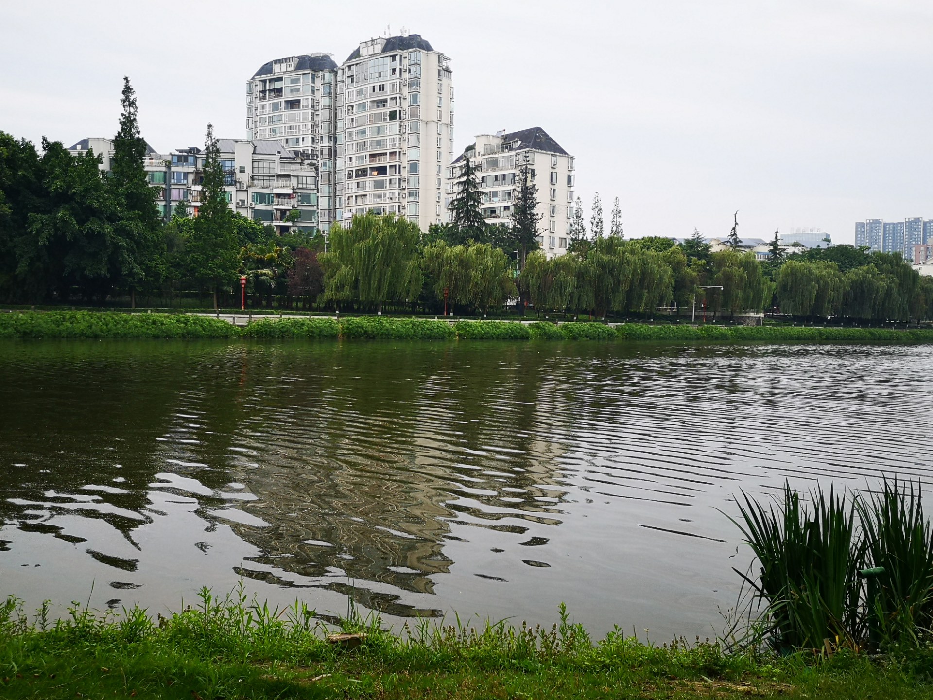 眉山苏母公园景观随拍