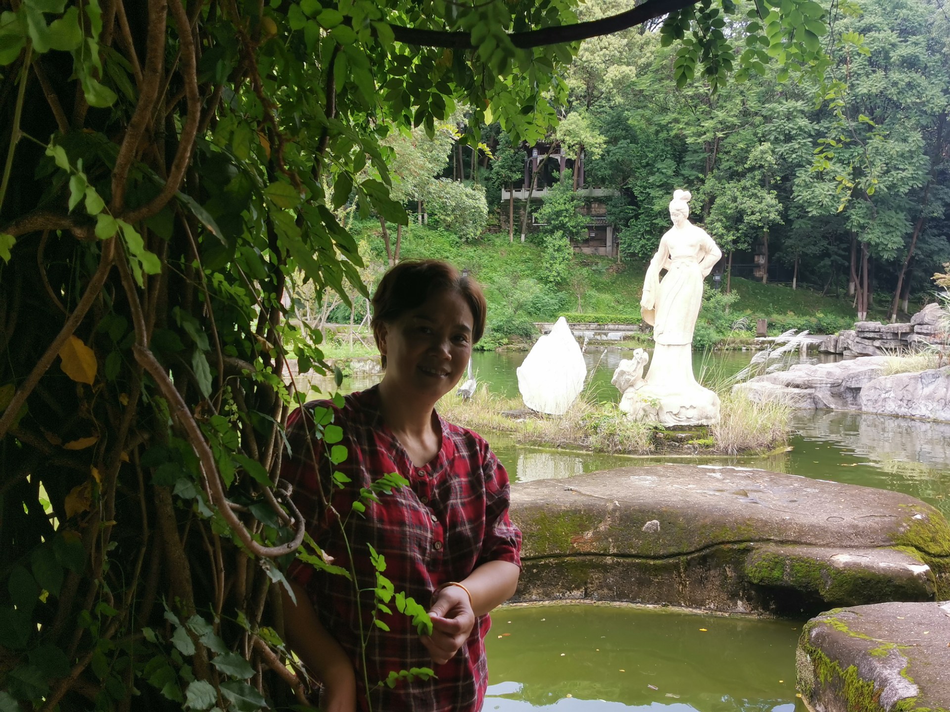 绵阳西山玉女湖,百年紫藤自成荫