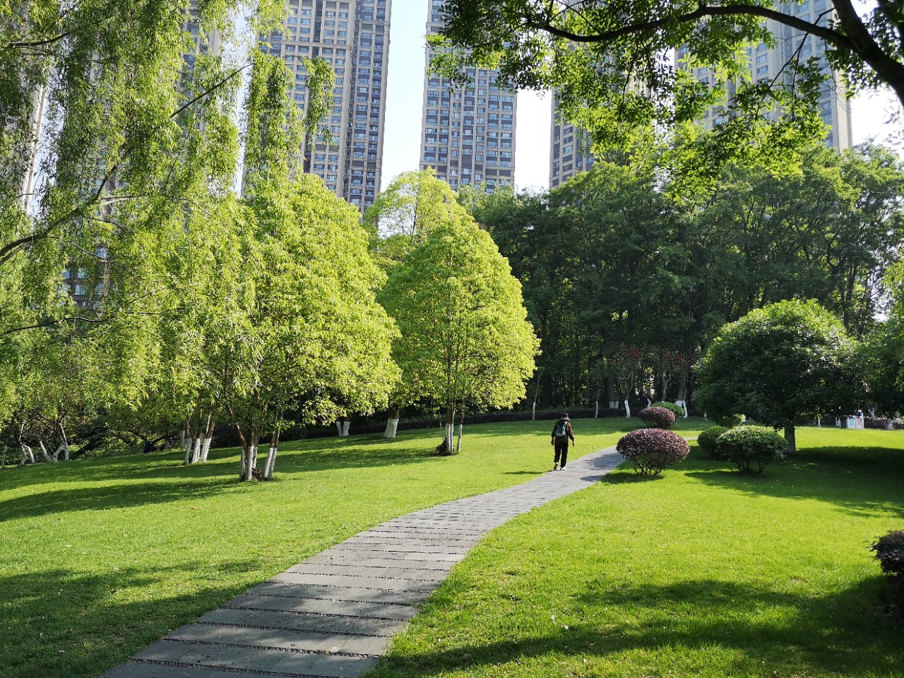 成都這公園以草坪為主,環境幽靜美麗極了