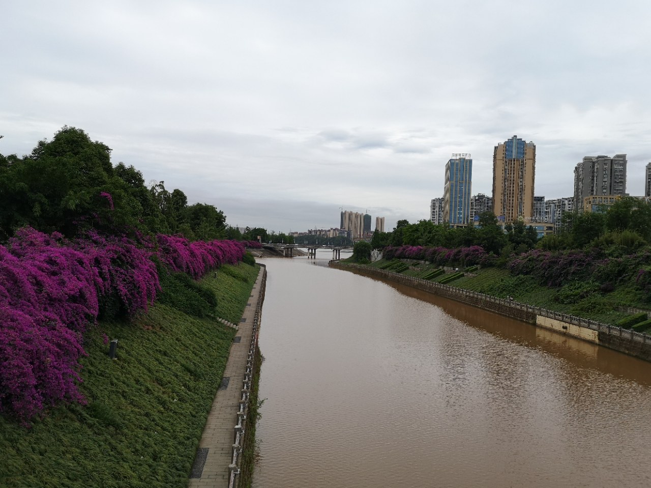 親們:資陽九曲河畔可多走走,這裡空氣清新,景色宜人