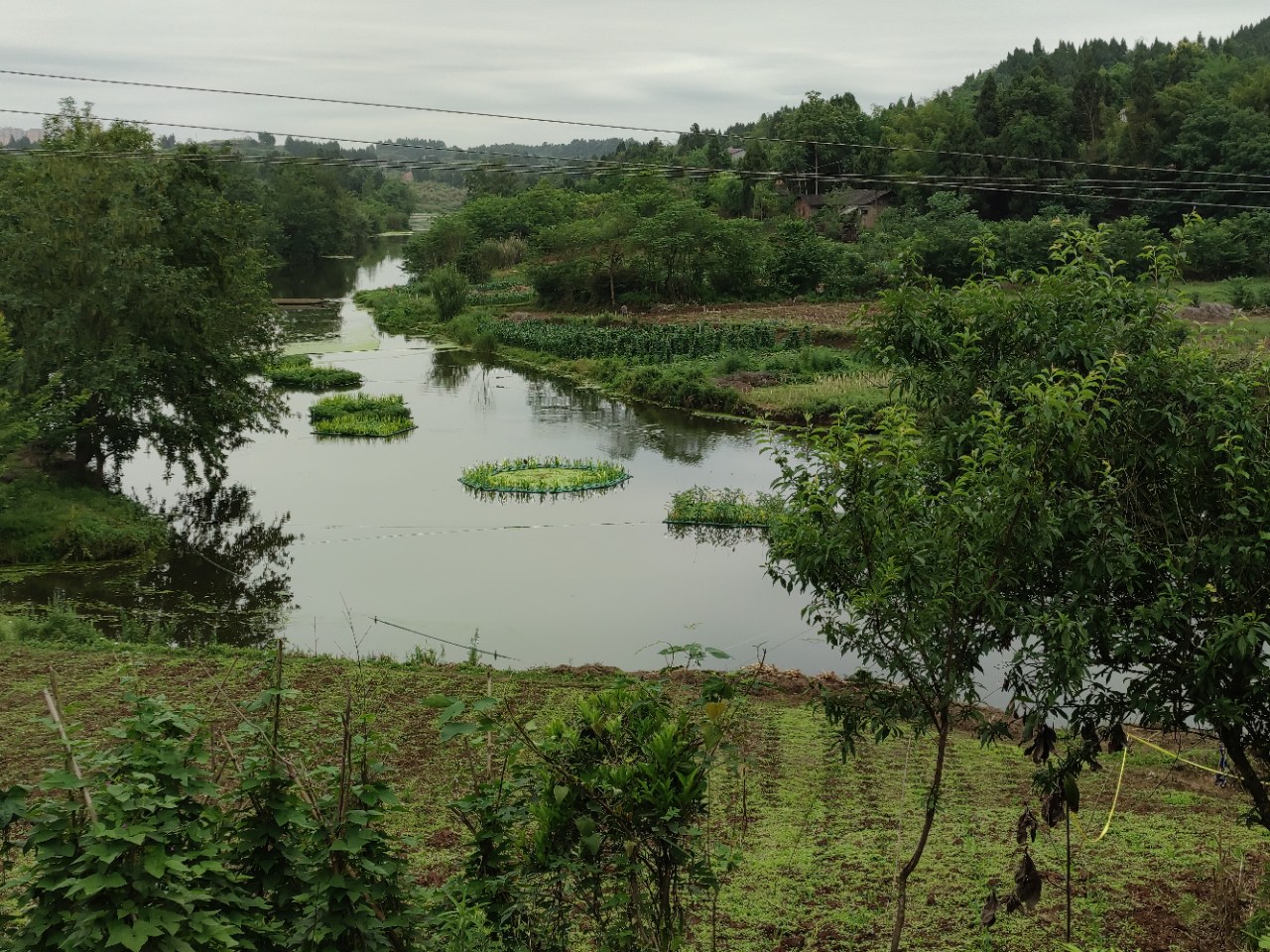 河源岳阳图片