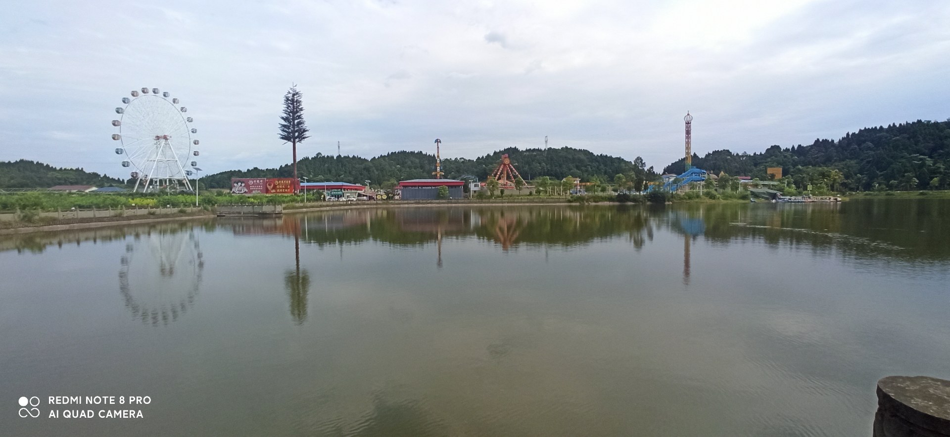 (原创)安岳柠檬小镇的花开了