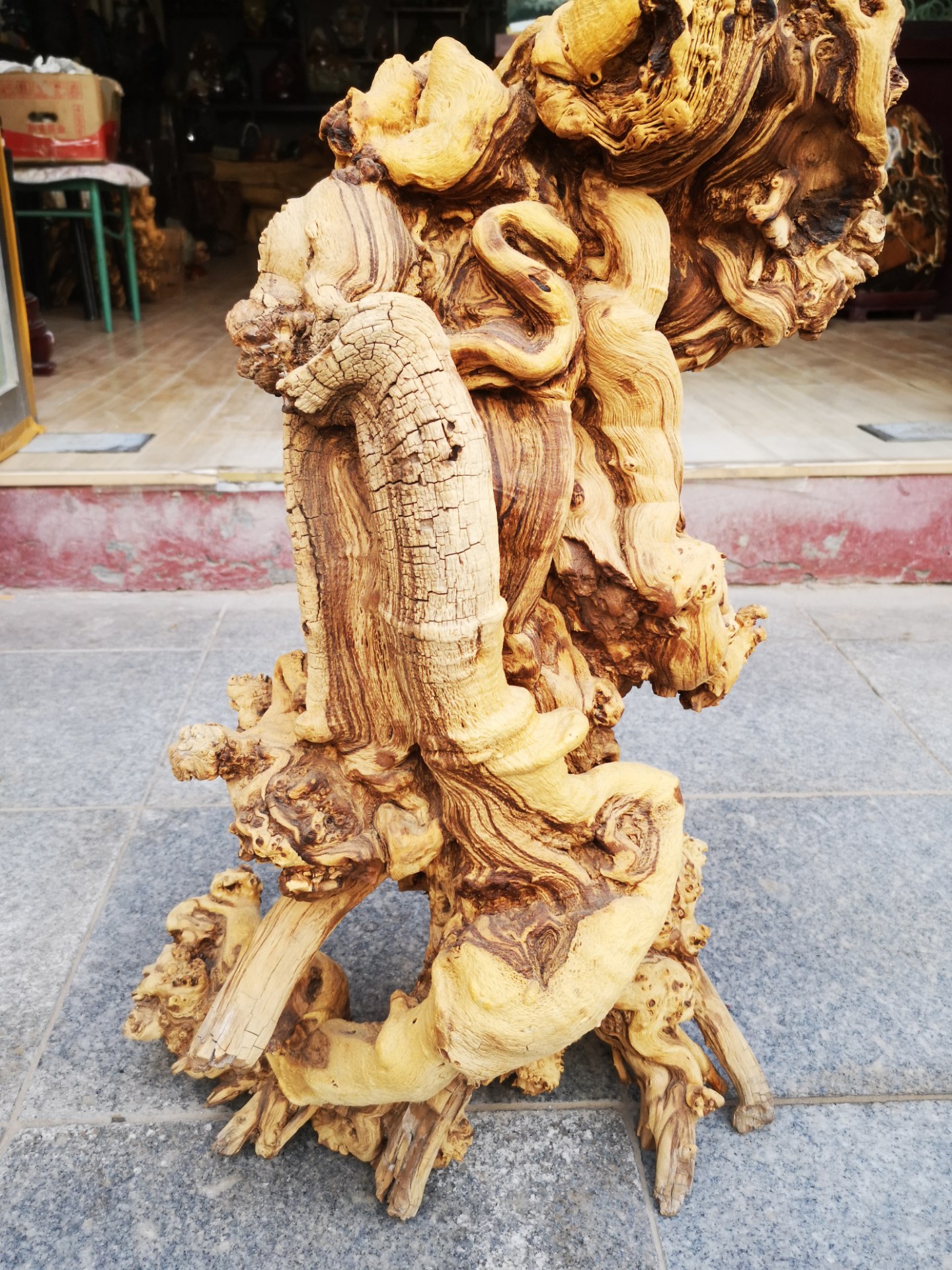 这"胡杨木"的根千姿百态太有欣赏价值了