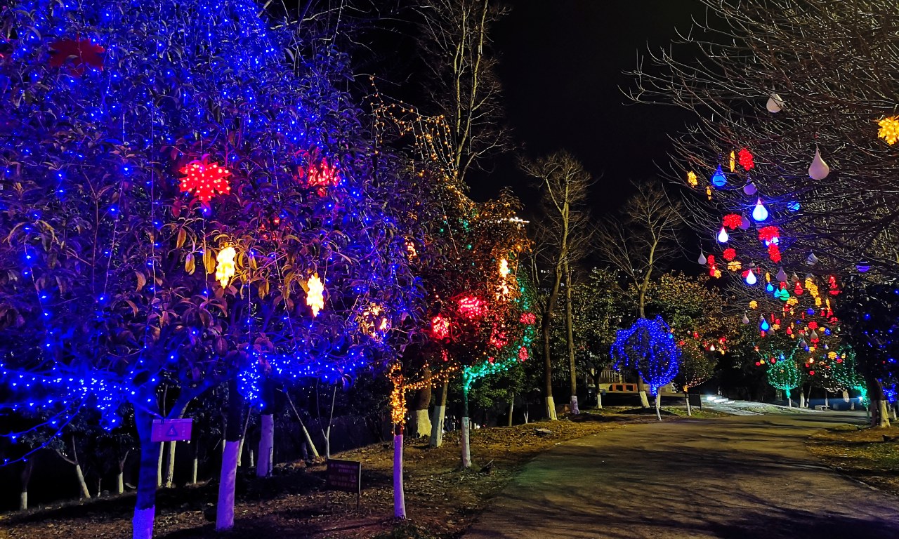 乐至夜景图片