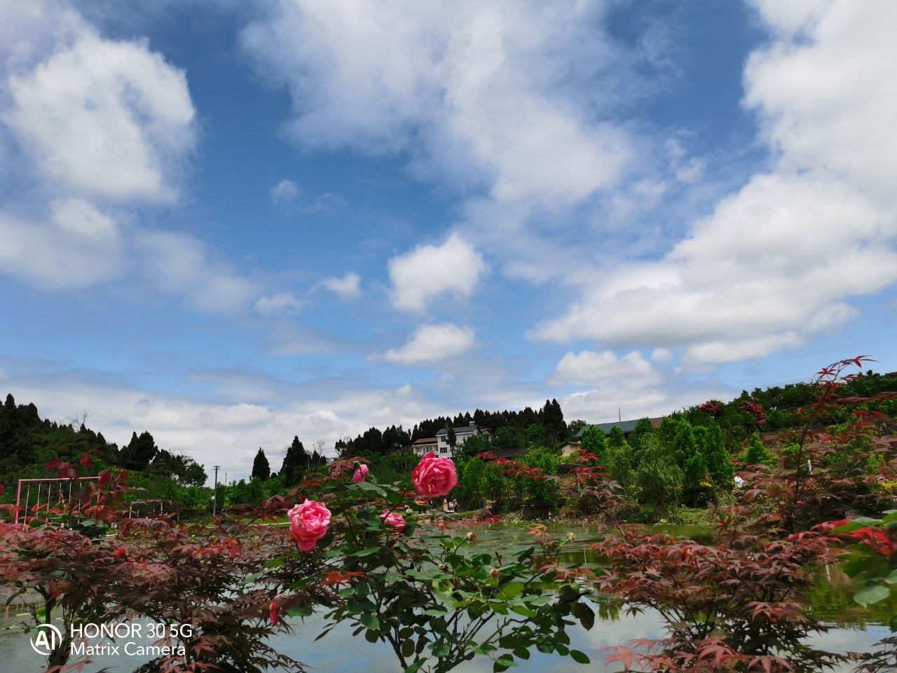 悦缘花谷