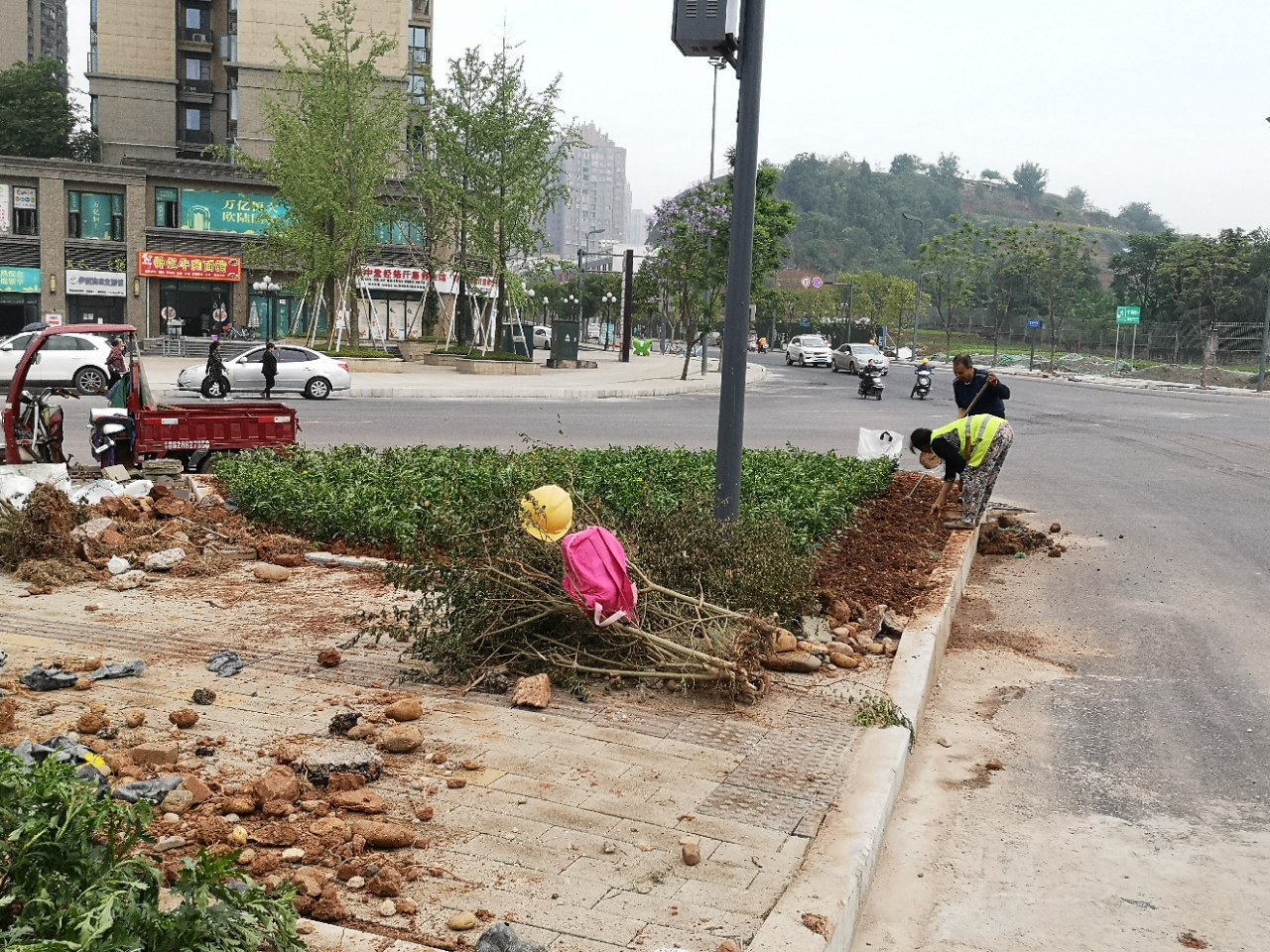 资阳康乐中路十字路口街心花台在做绿化,栽上花草给环境增色不少