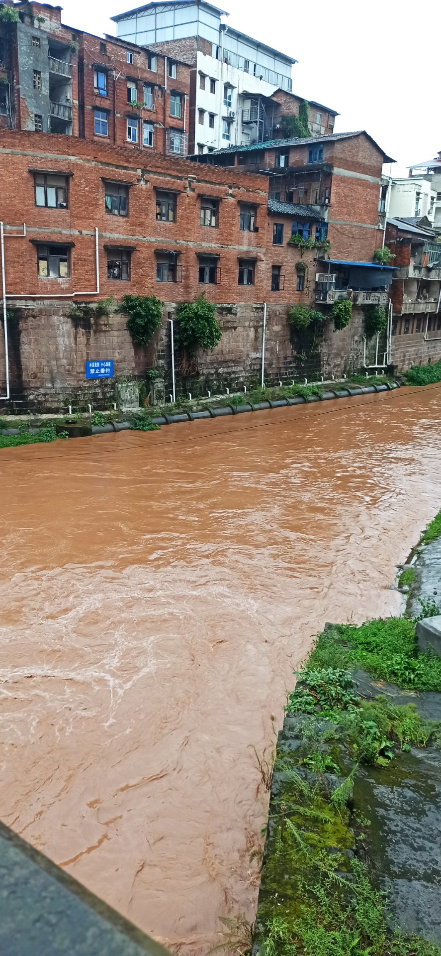 (原创)安岳涨洪水了