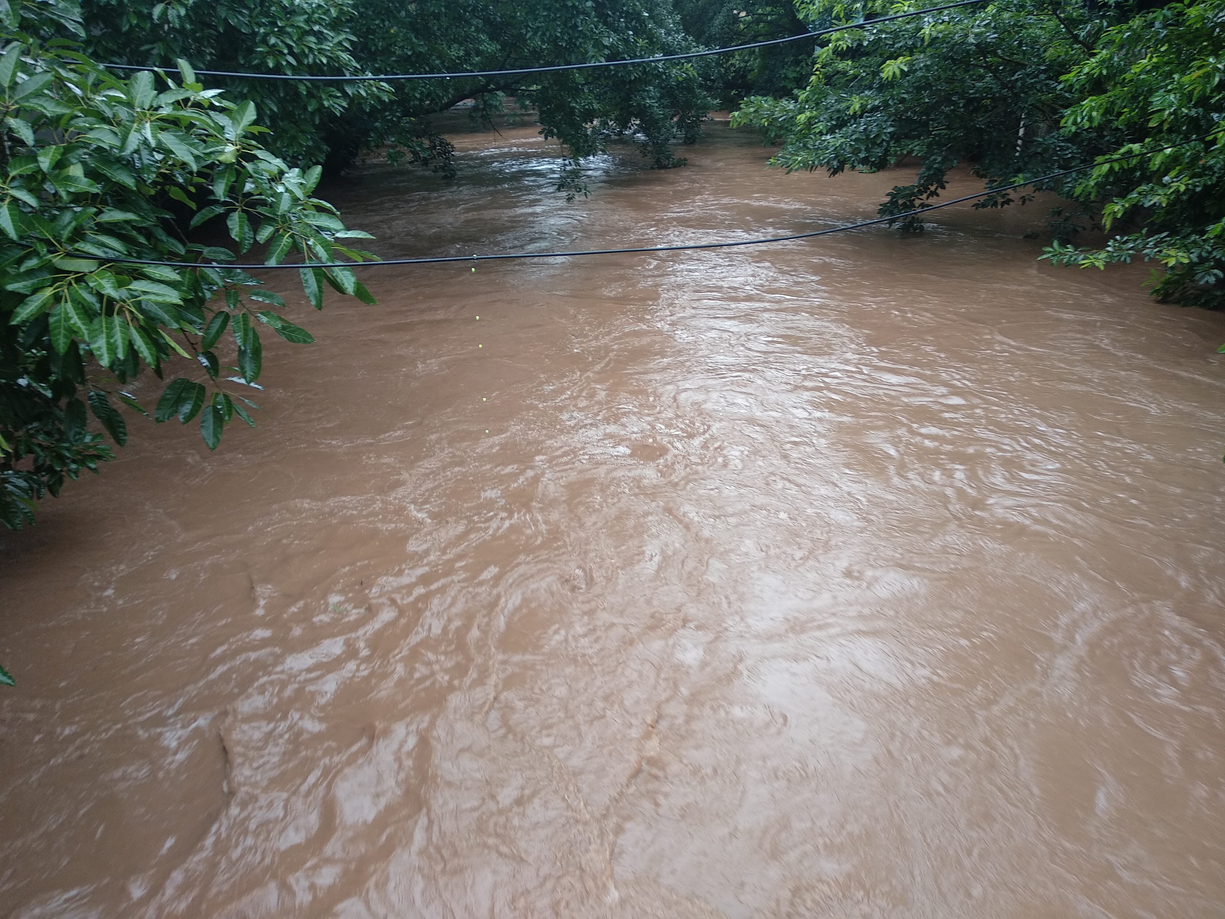 安岳三元堤的洪水又大又急