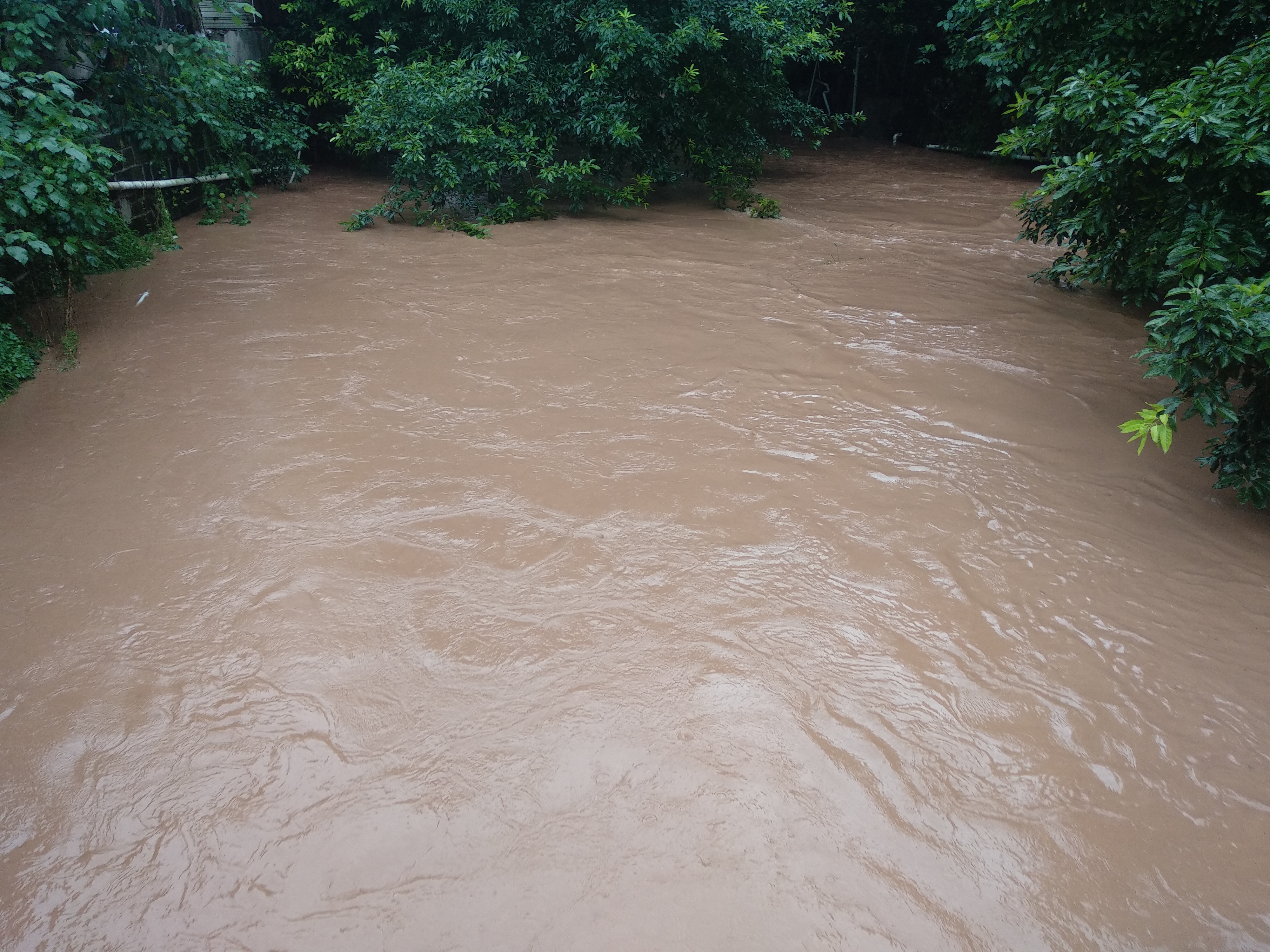 安岳三元堤的洪水又大又急
