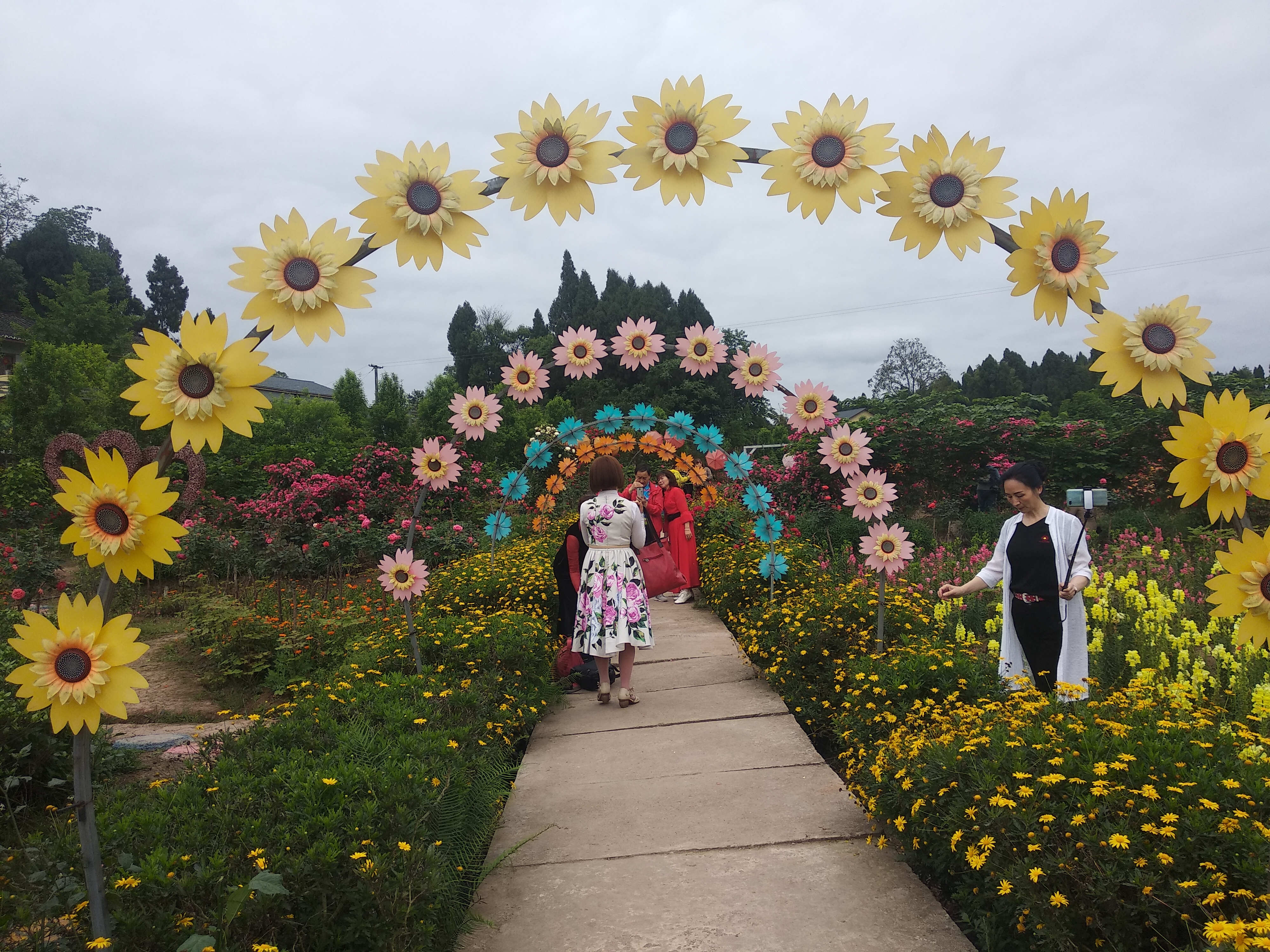 悦缘花谷门票图片