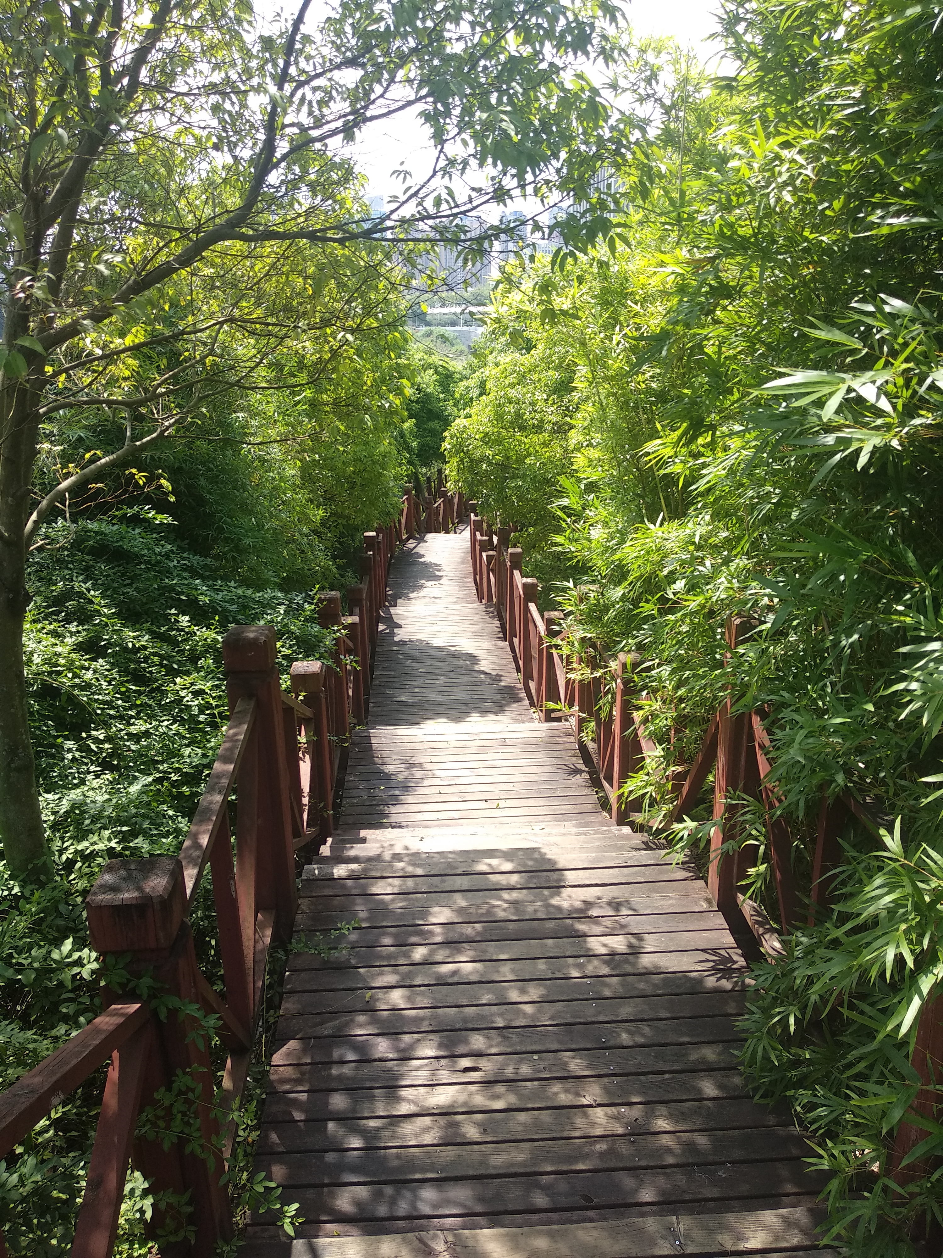 资阳字库山公园风景美美的