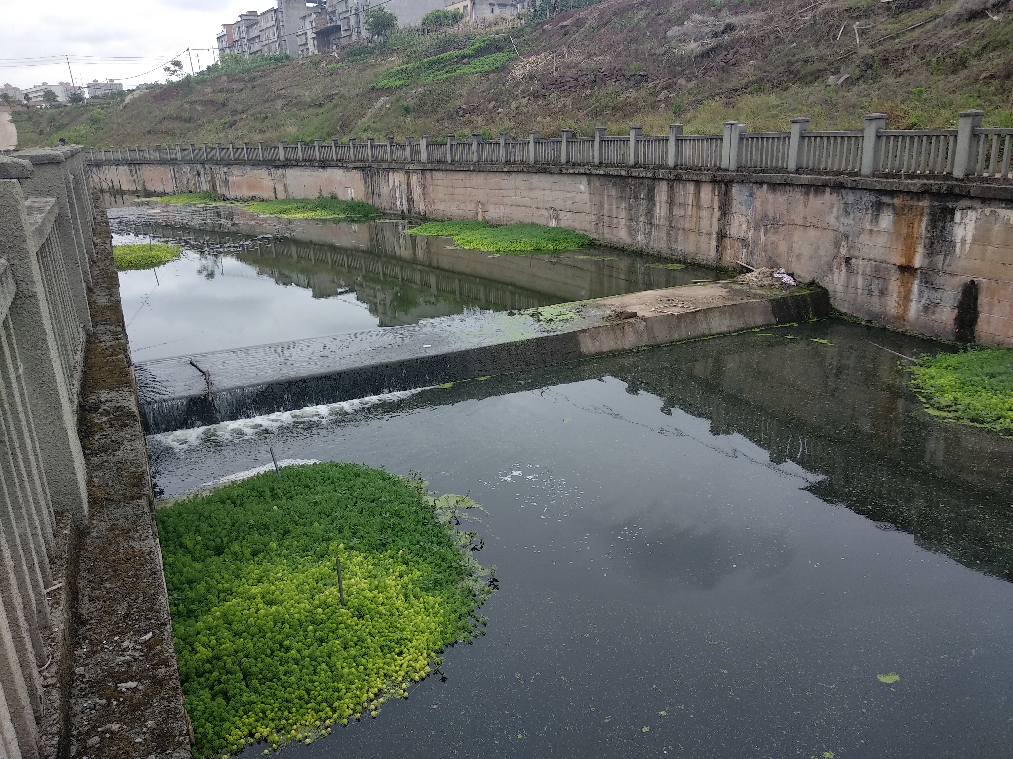 安岳城东河污水整治见成效!