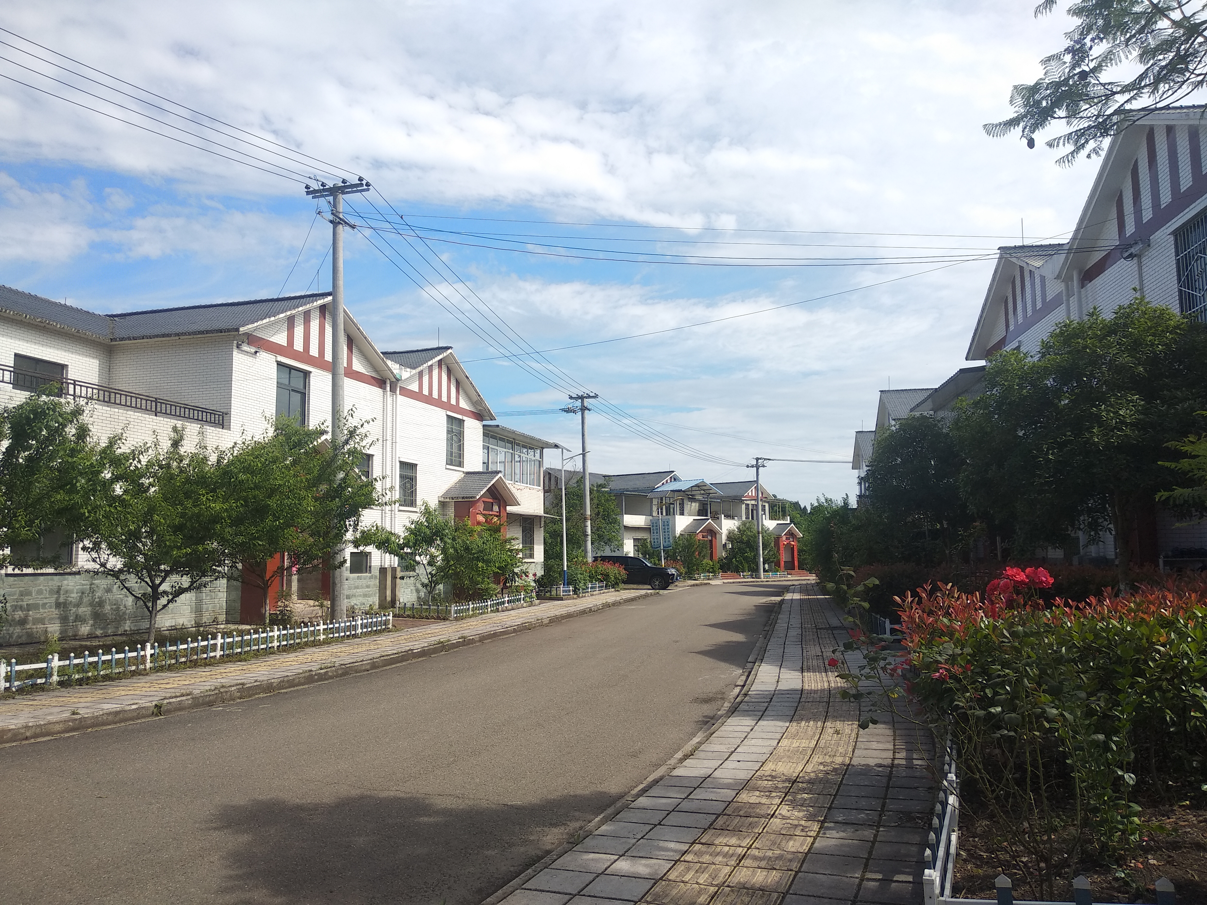 安岳新农村建设,来看看隆恩村的成效!